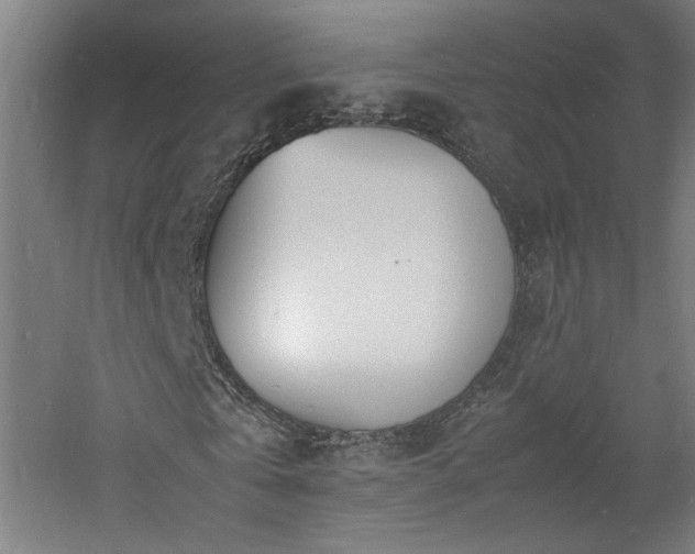 X0000060780769200511101339