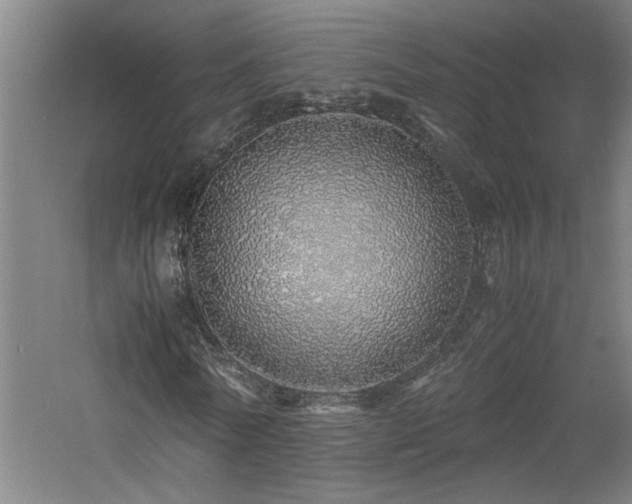 X0000060780770200511101339