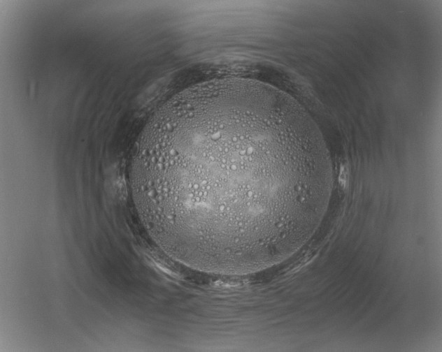 X0000060780771200511101339