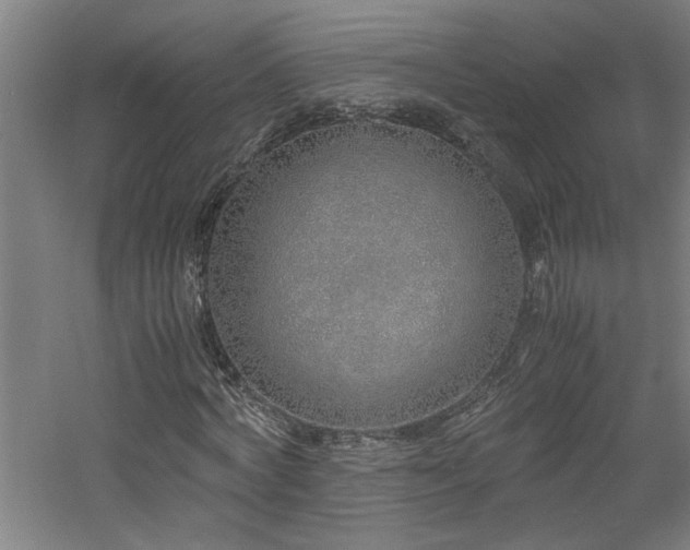 X0000060780772200511101339