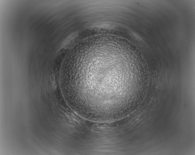 X0000060780774200511101339