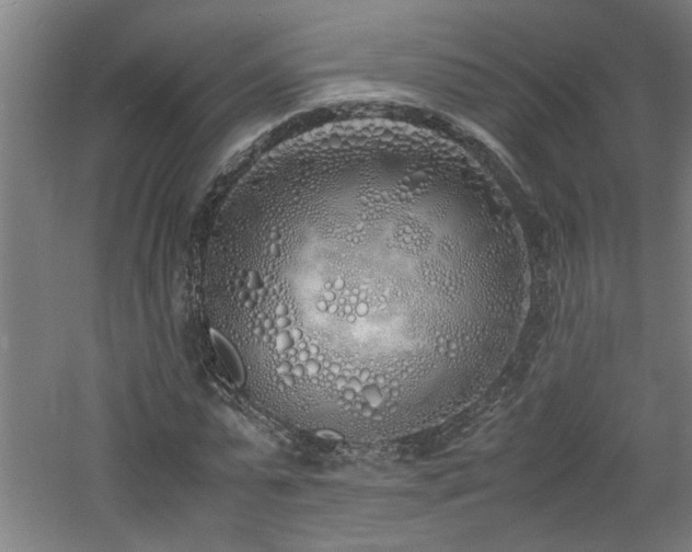 X0000060780775200511101339