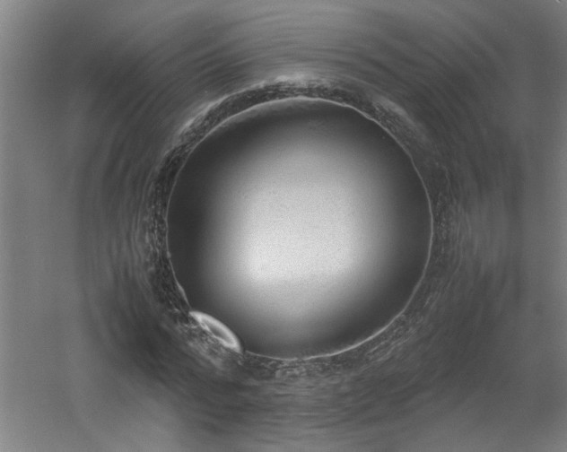 X0000060780776200511101339