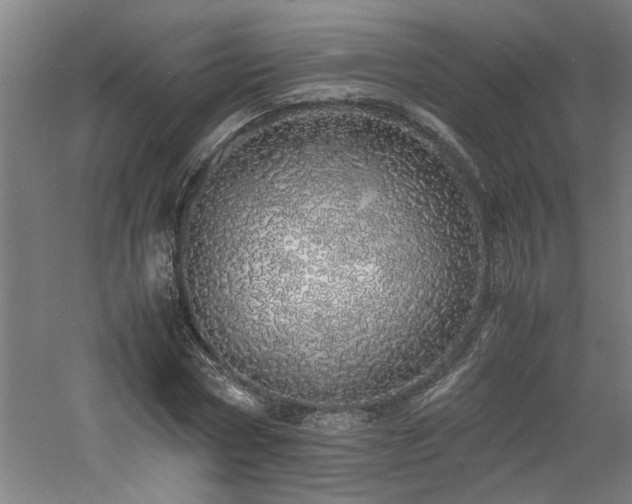 X0000060780778200511101339