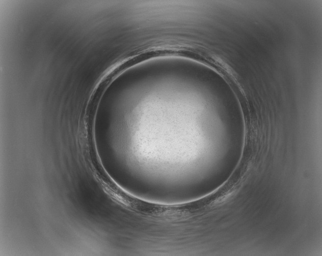 X0000060780779200511101339