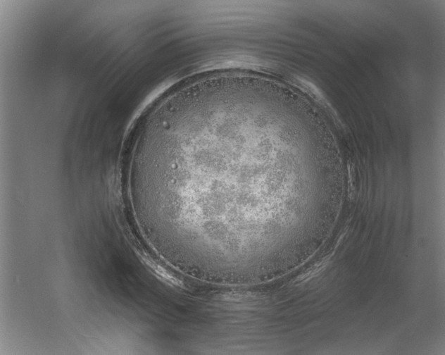 X0000060780780200511101339