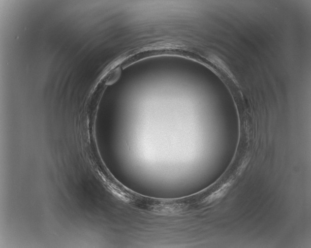 X0000060780781200511101338