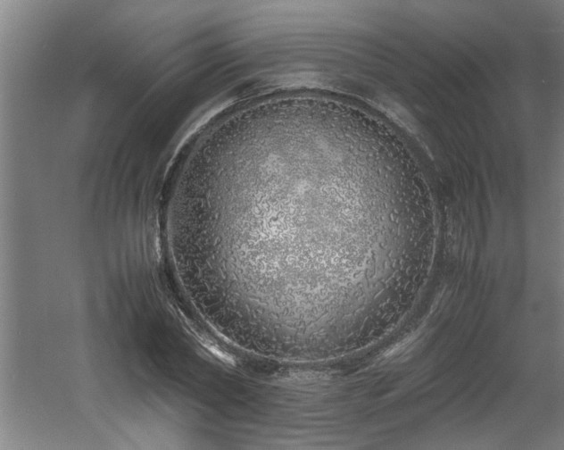 X0000060780782200511101338