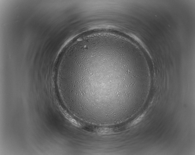 X0000060780783200511101338