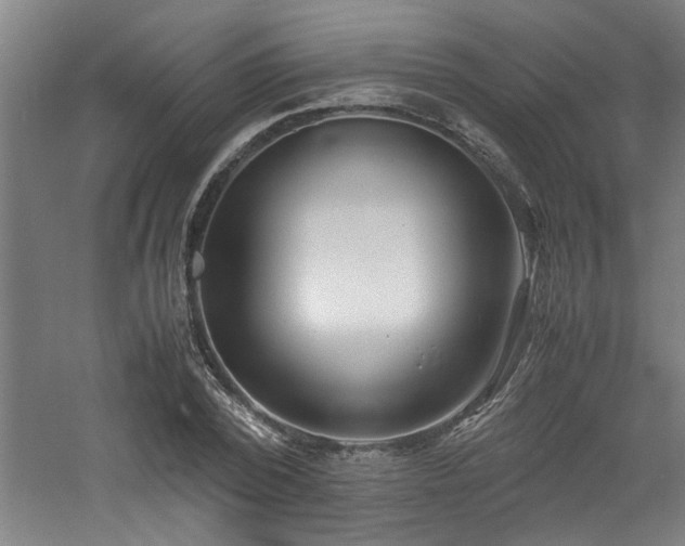 X0000060780784200511101338