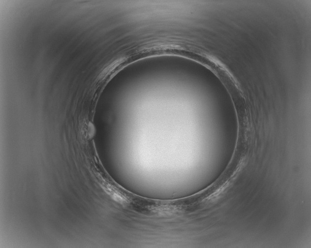 X0000060780785200511101338