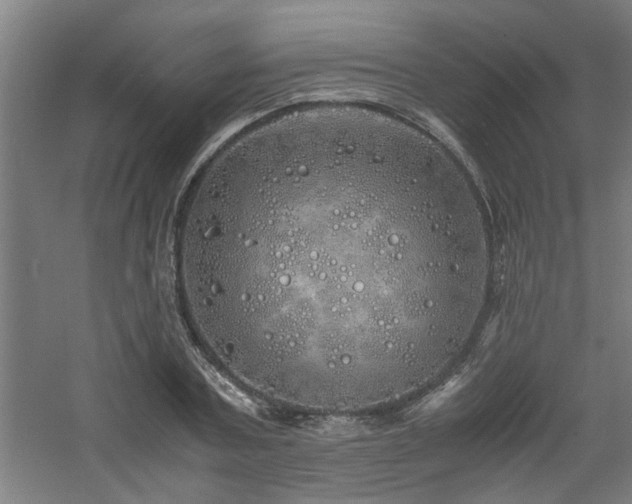 X0000060780787200511101338