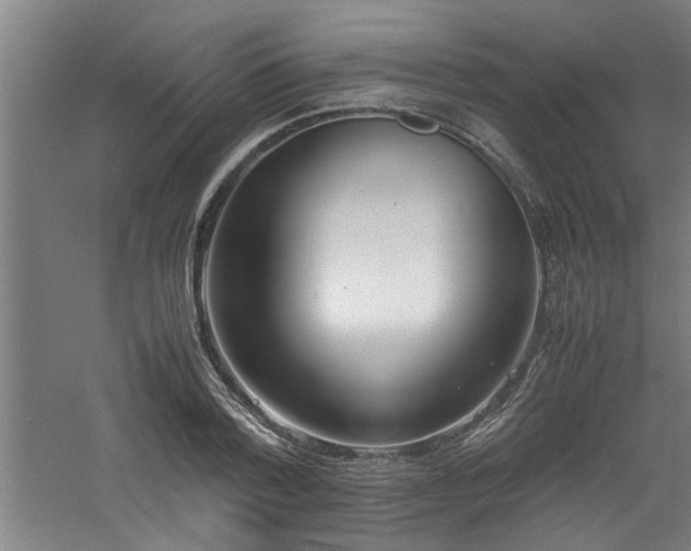 X0000060780788200511101338