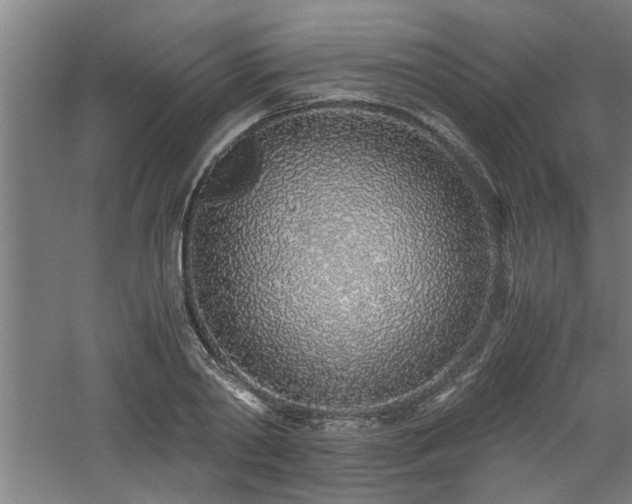 X0000060780790200511101338