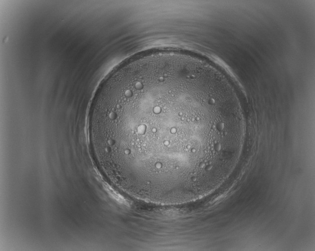 X0000060780791200511101338