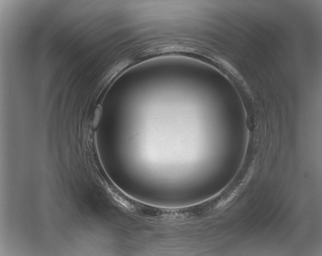 X0000060780793200511101338