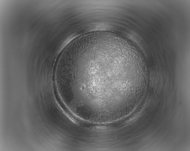 X0000060780794200511101338