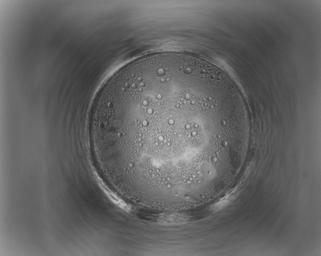 X0000060780795200511101338