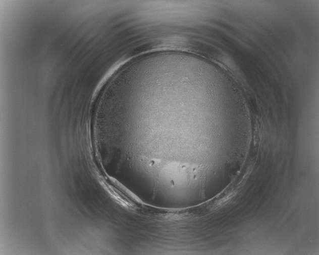 X0000060780796200511101338