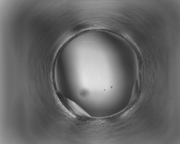 X0000060780797200511101338