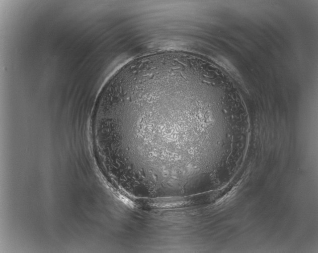 X0000060780798200511101338