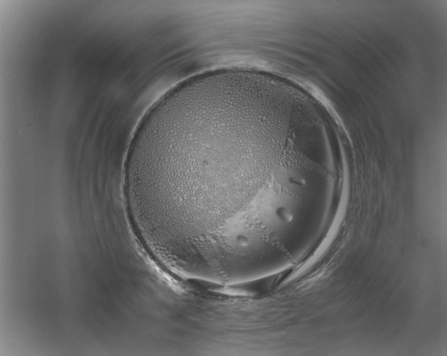 X0000060780799200511101338