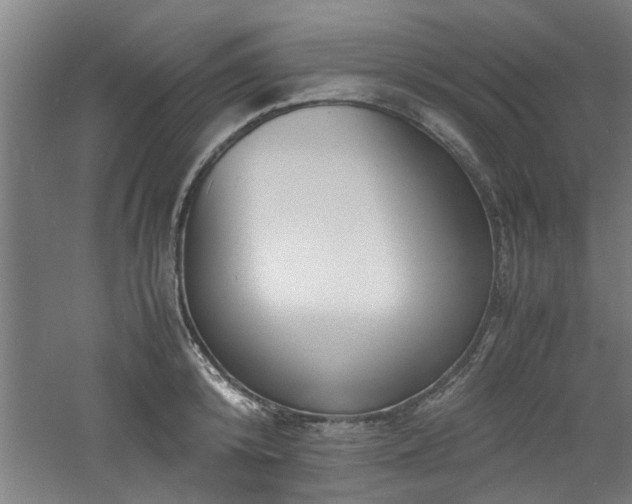 X0000060780800200511101338