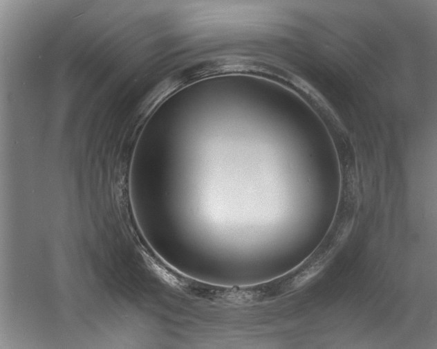 X0000060780801200511101338