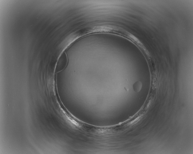 X0000060780802200511101338