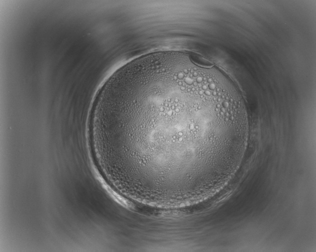 X0000060780803200511101338