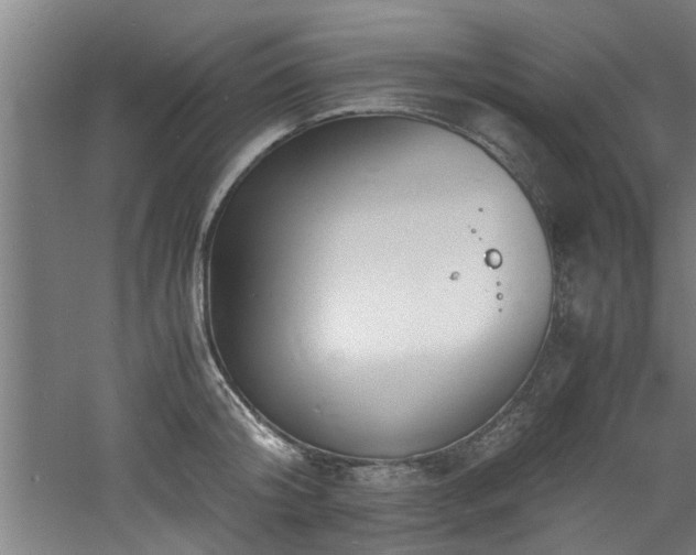 X0000060780804200511101338