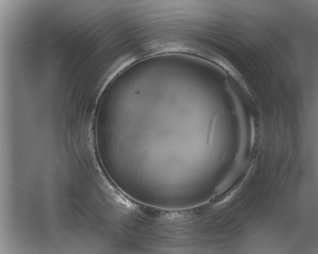 X0000060780806200511101338