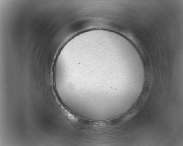 X0000060780807200511101338