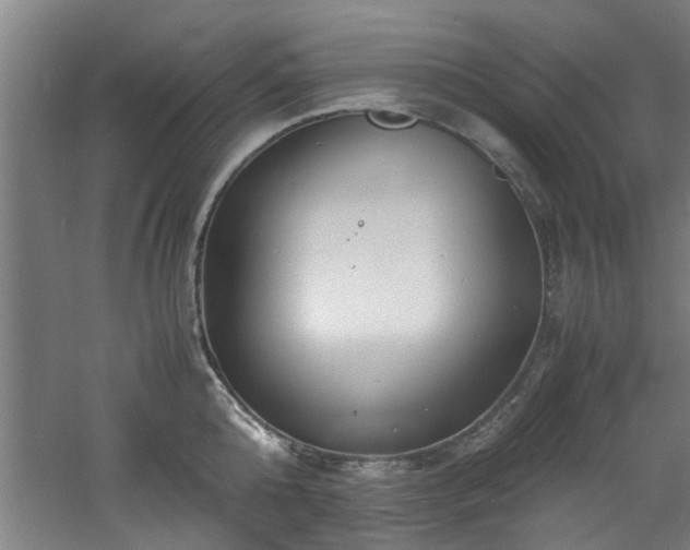 X0000060780808200511101338