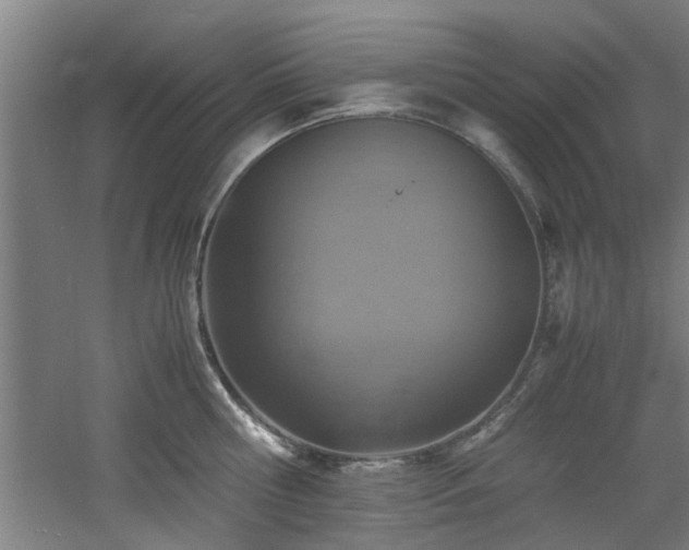 X0000060780810200511101338