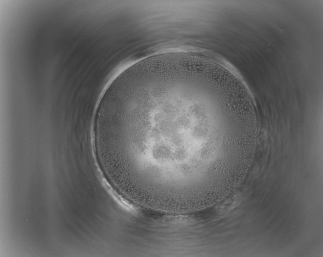 X0000060780811200511101338