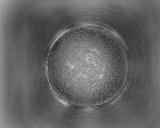 X0000060780814200511101338