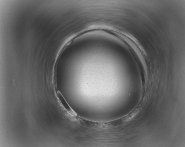 X0000060780815200511101338