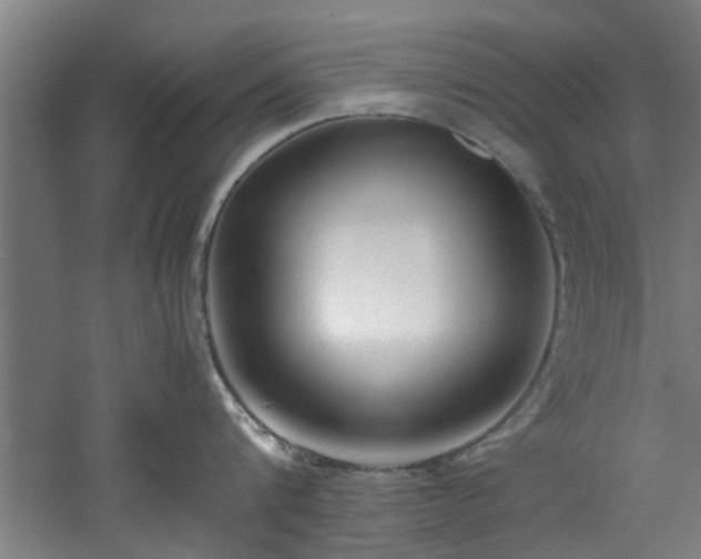 X0000060780816200511101338