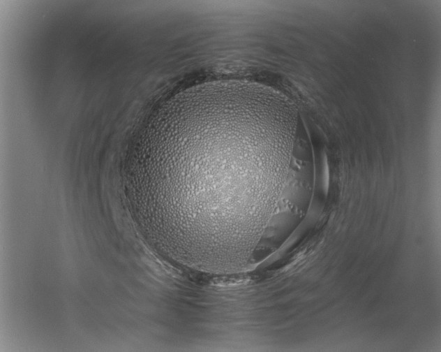 X0000060780817200511101337