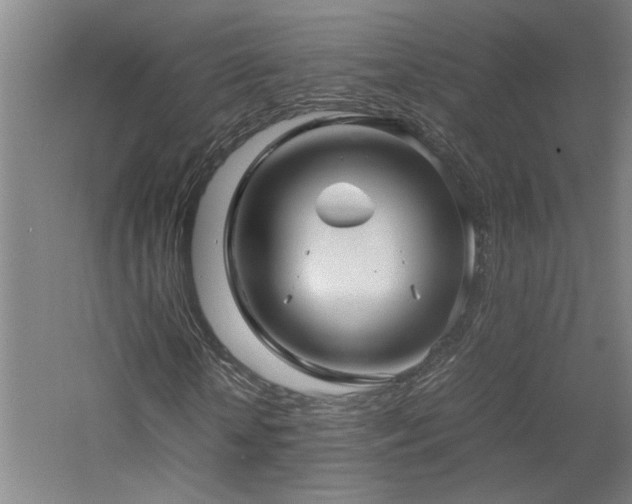 X0000060780818200511101337