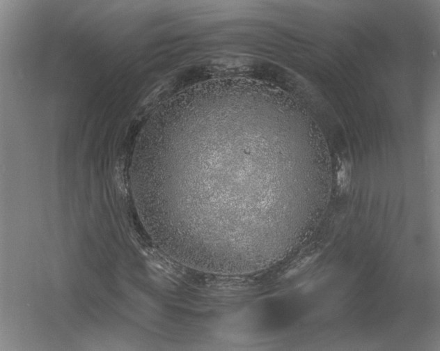 X0000060780819200511101337