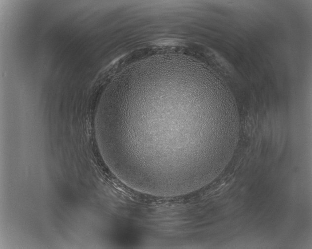 X0000060780821200511101337