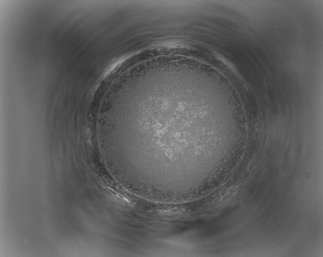 X0000060780823200511101337