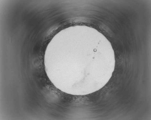 X0000060780824200511101337