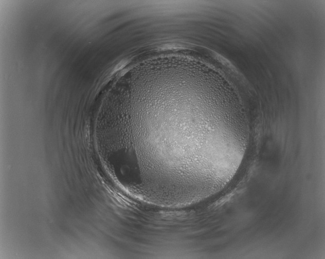 X0000060780825200511101337