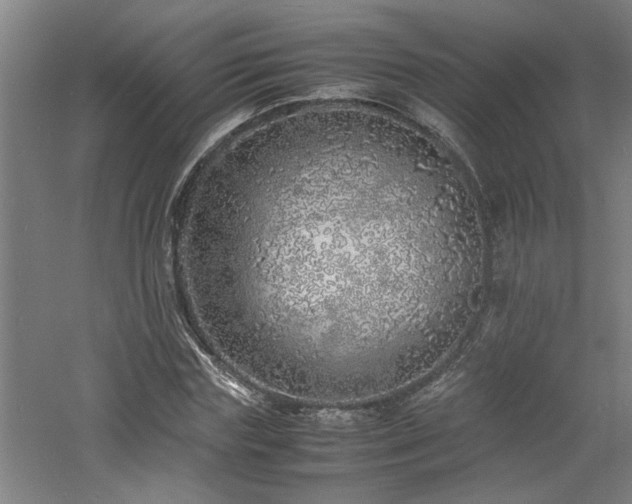 X0000060780827200511101337