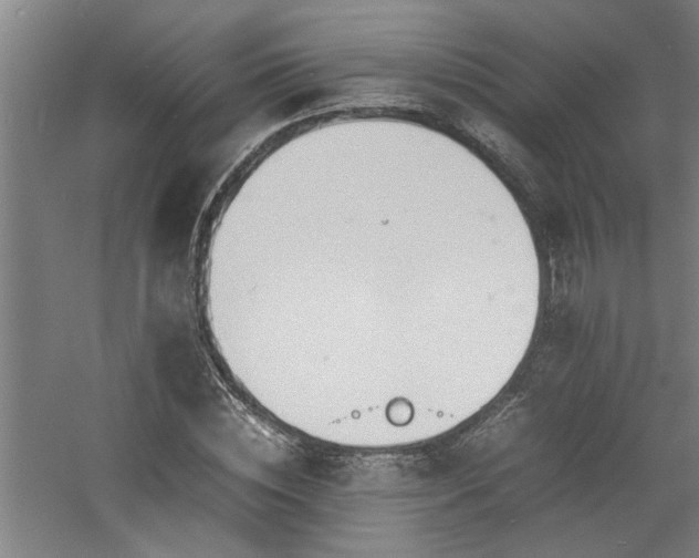 X0000060780828200511101337