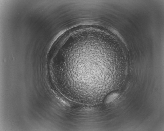 X0000060780829200511101337