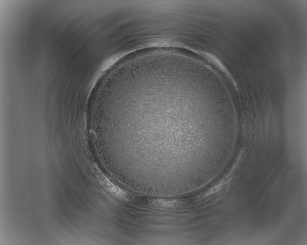 X0000060780831200511101337